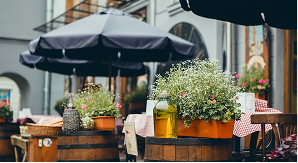 Postales - Alcachofa y Romero