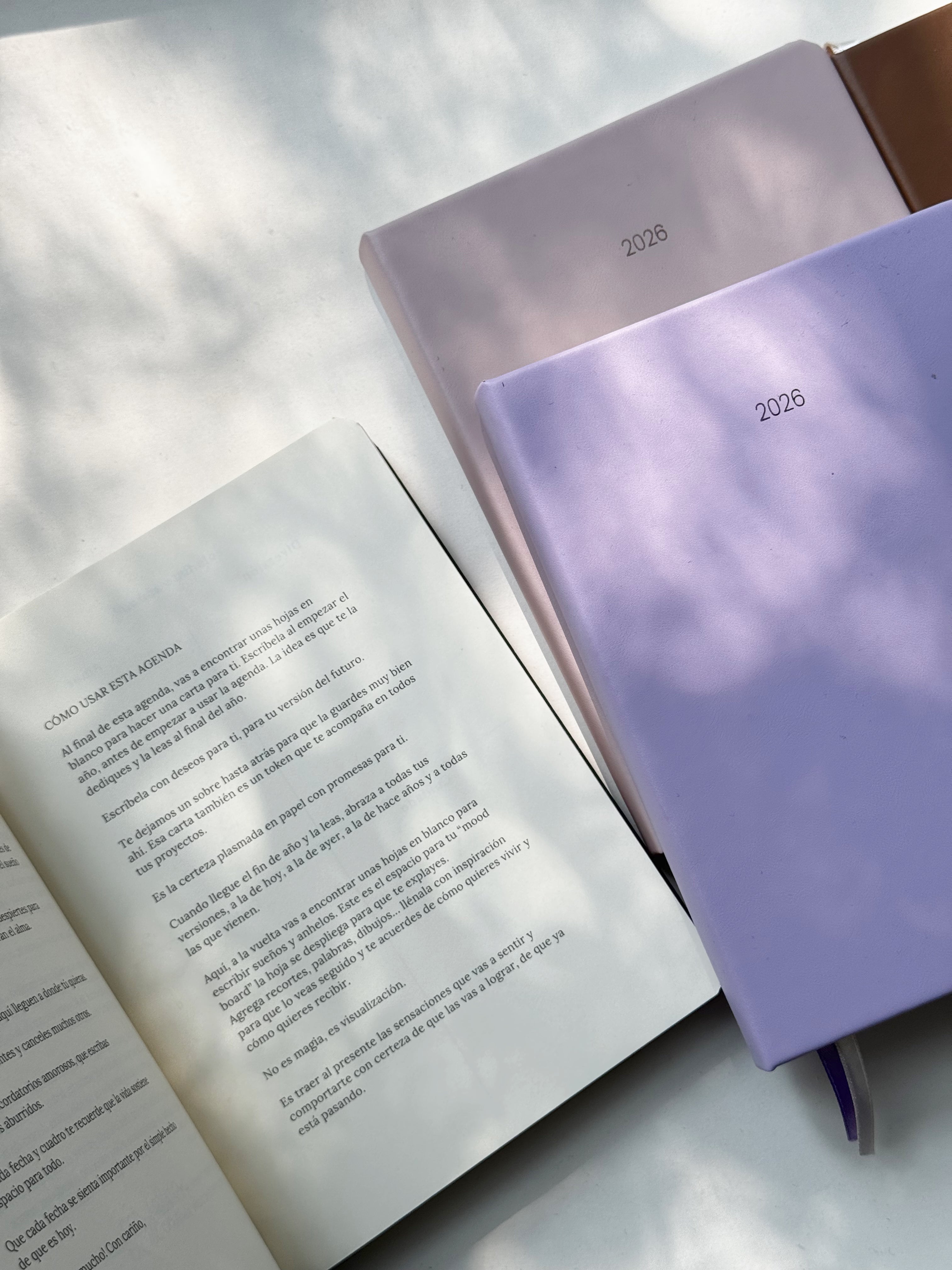 Agenda 2026 Alcachofffa