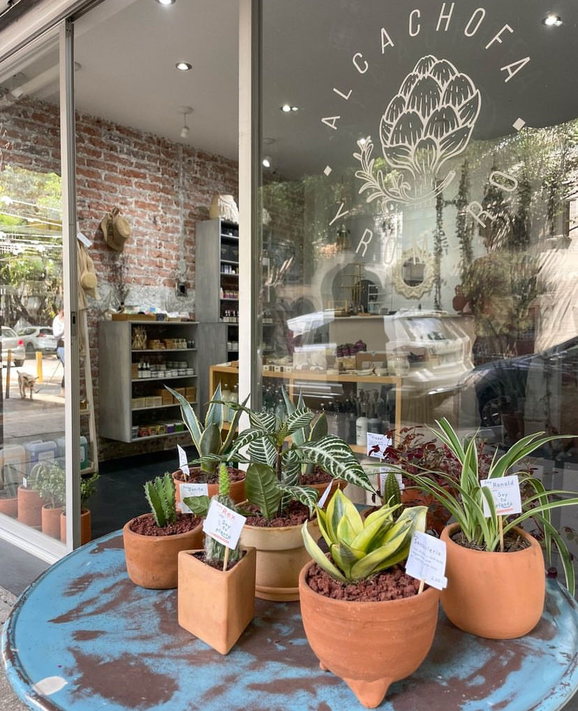 Plant classification 3 - I am Your Plant