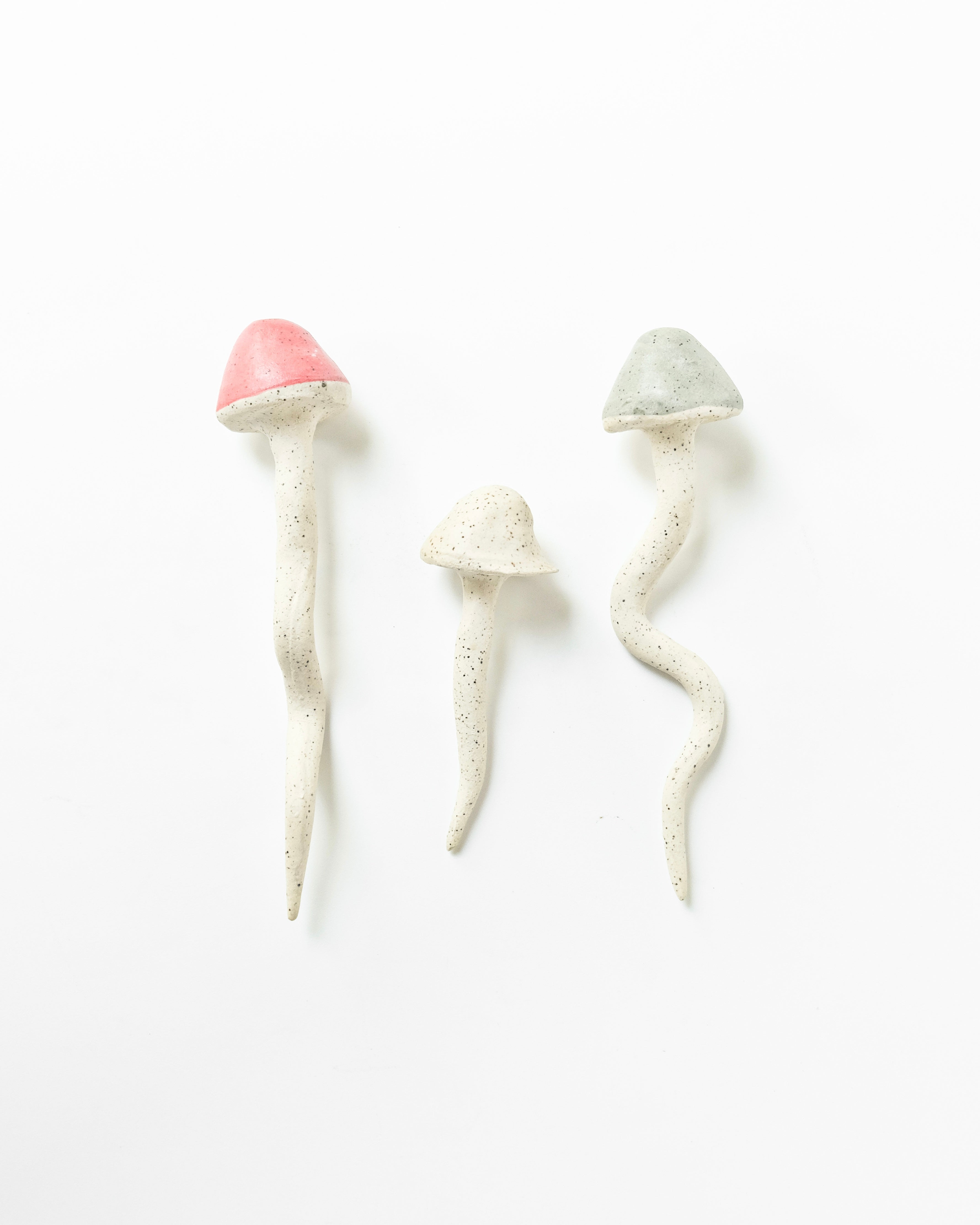 Set de hongos - Blau Verde