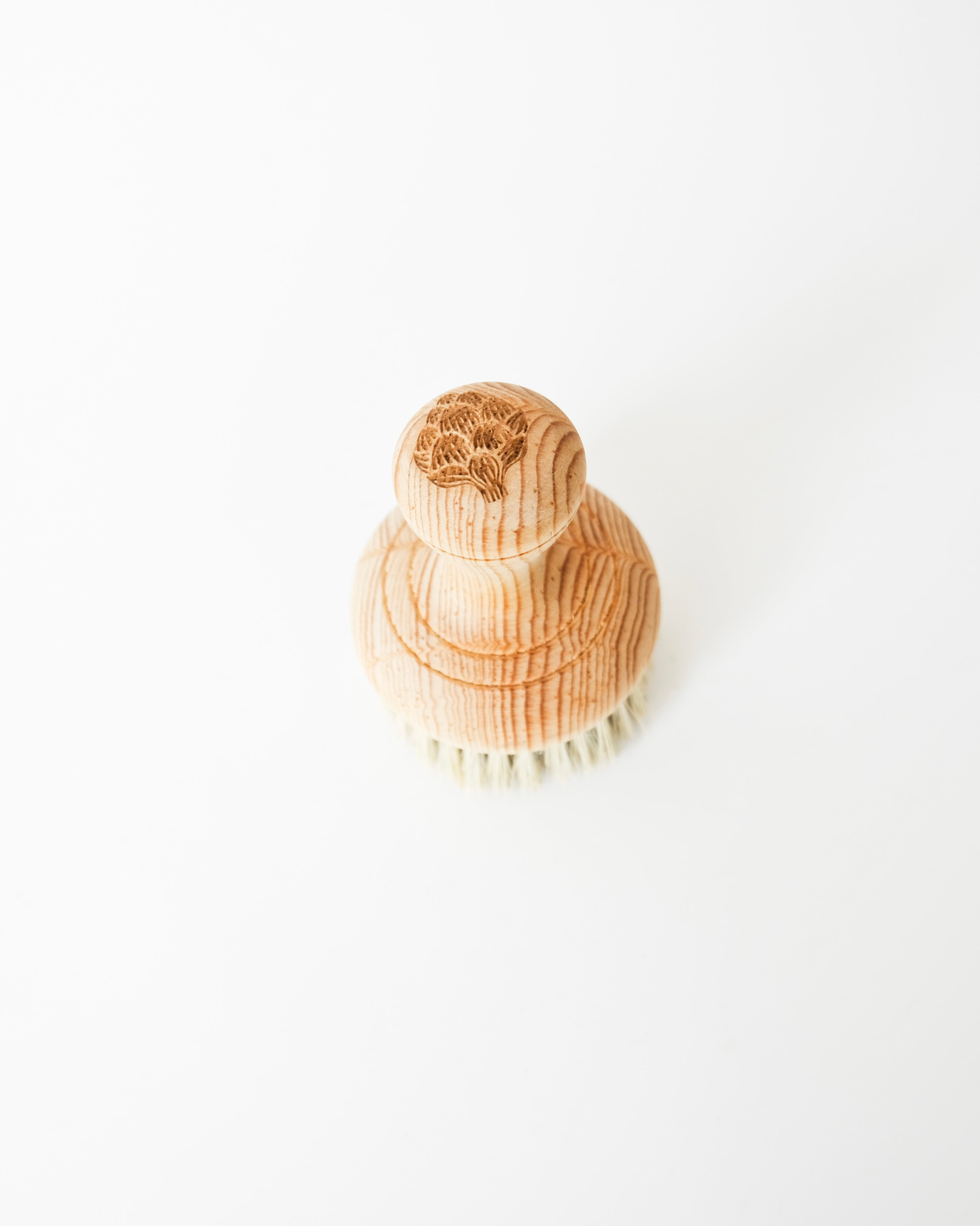 Cepillo Multiusos - Alcachofffa