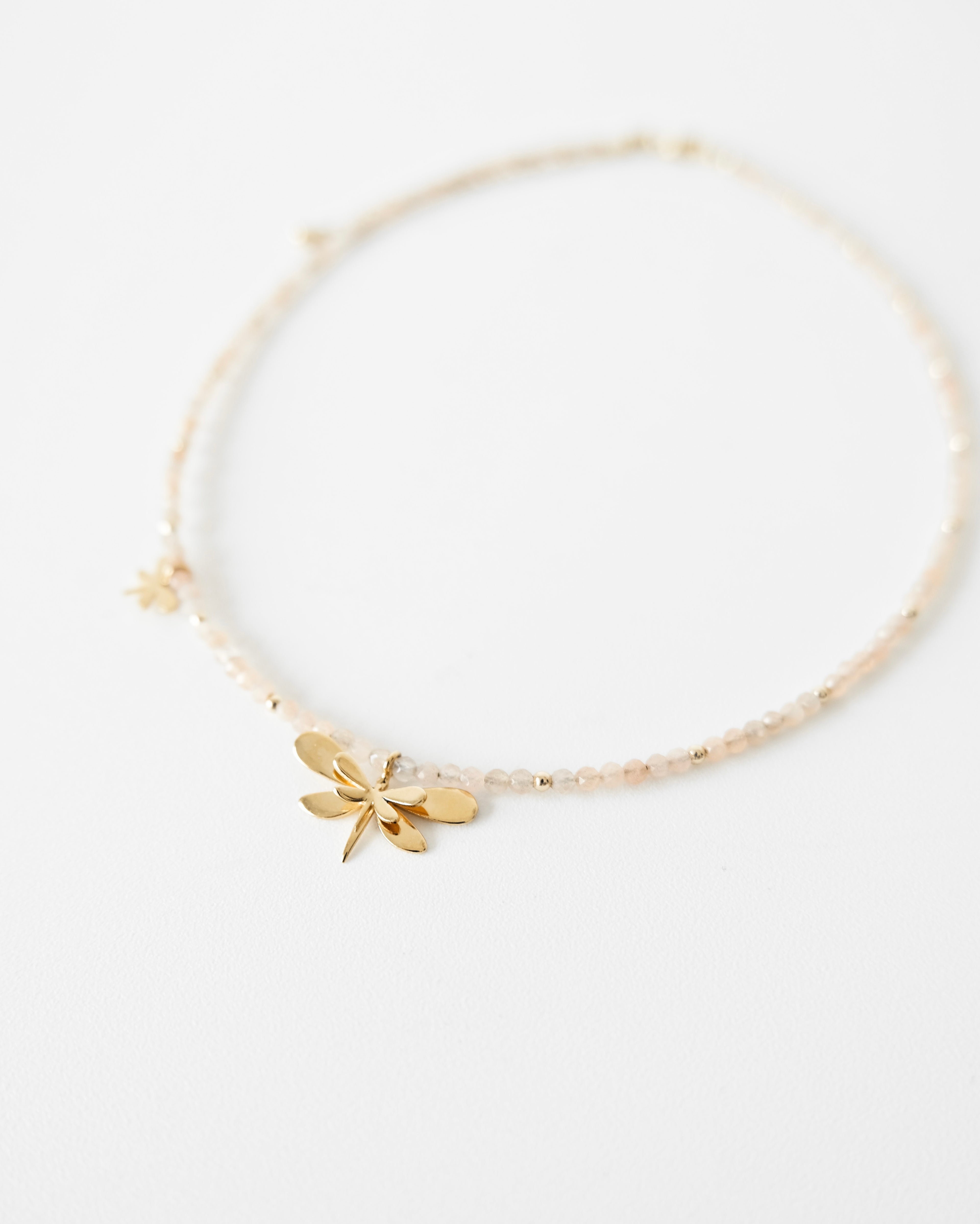 Choquer libélula - Cecelia