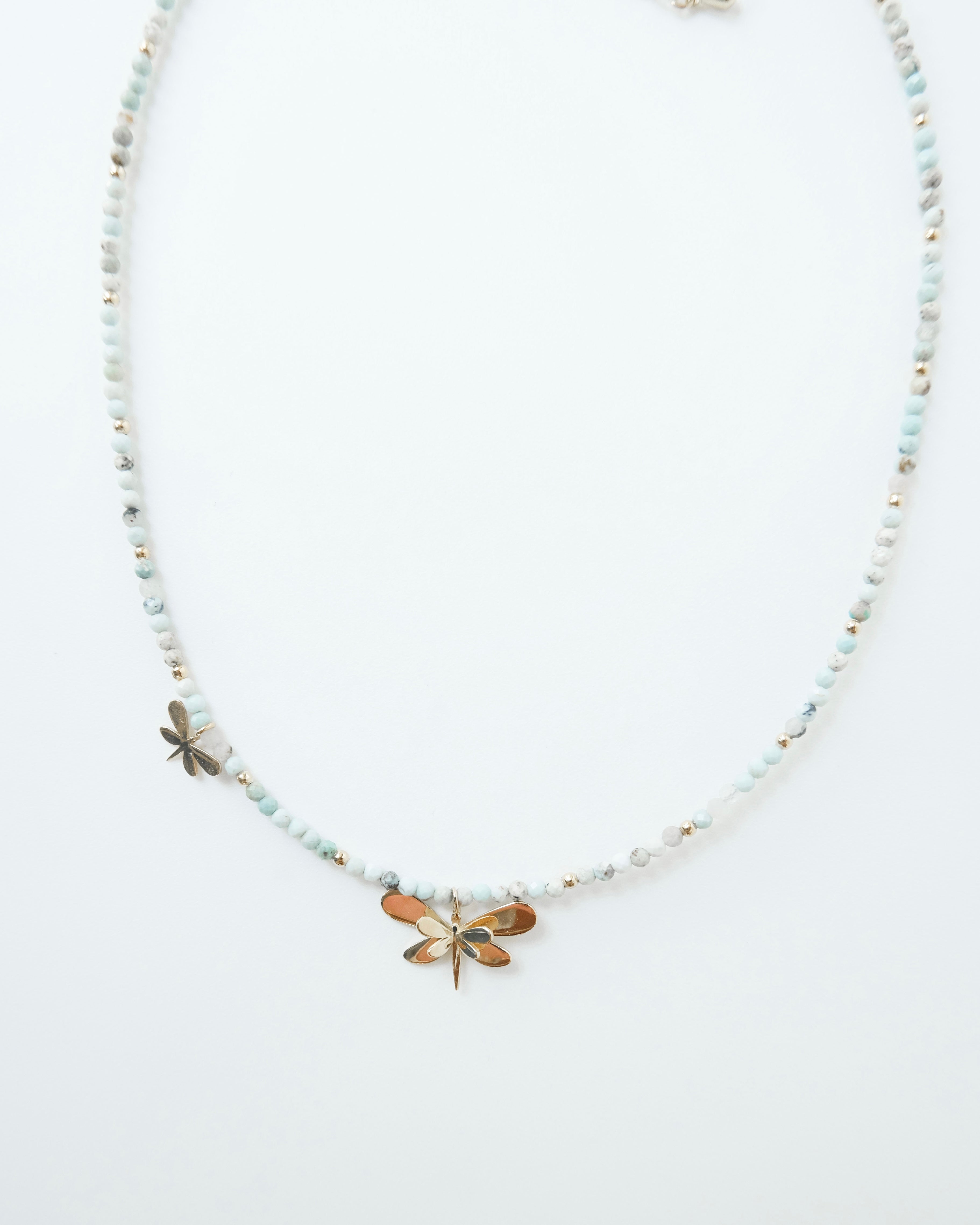 Choquer libélula - Cecelia