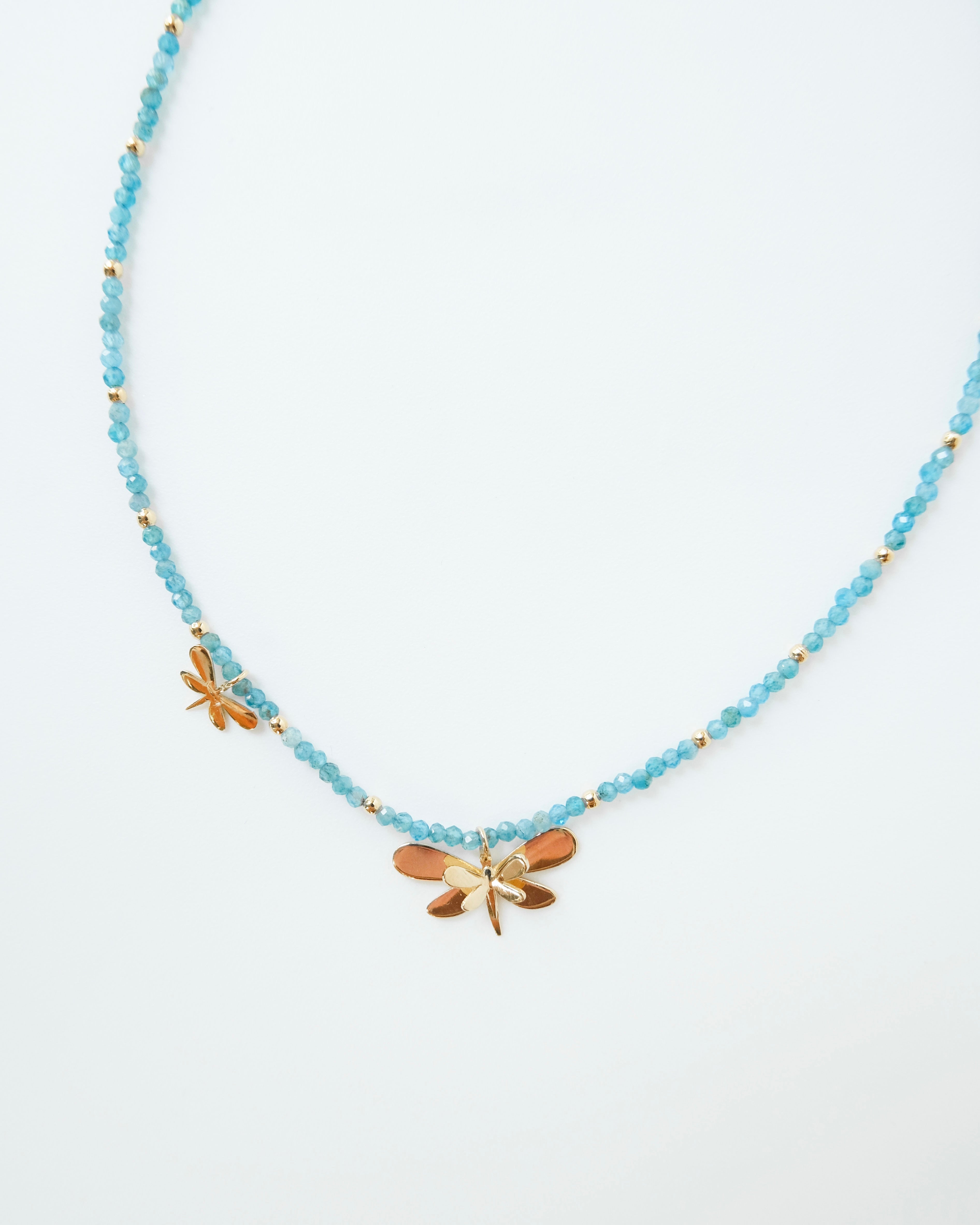 Choquer libélula - Cecelia