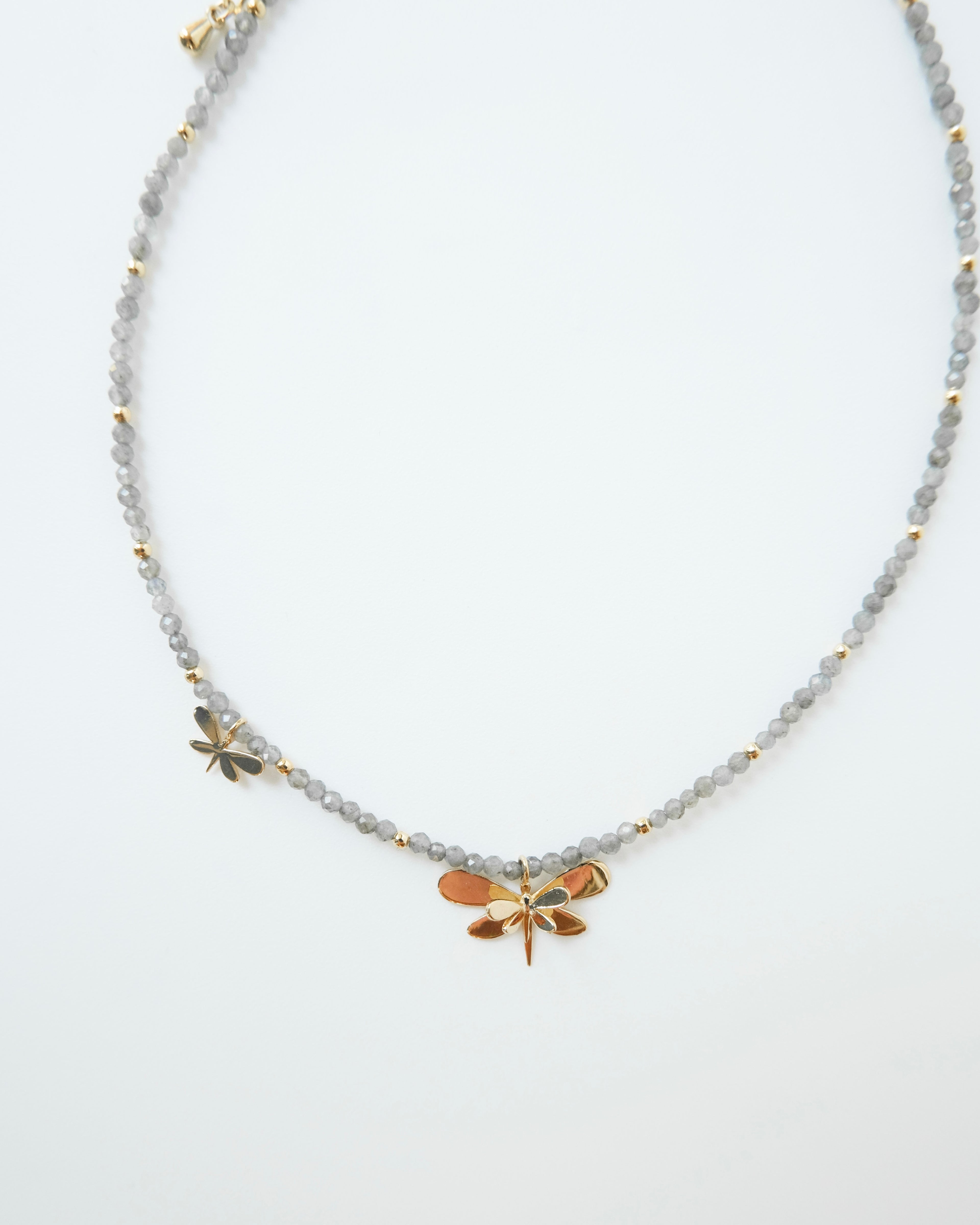 Choquer libélula - Cecelia