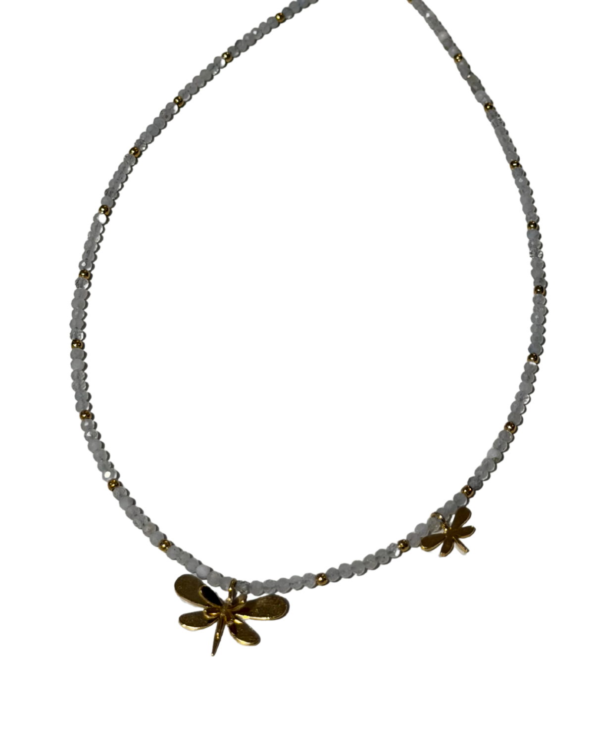 Dragonfly Choquer - Cecelia