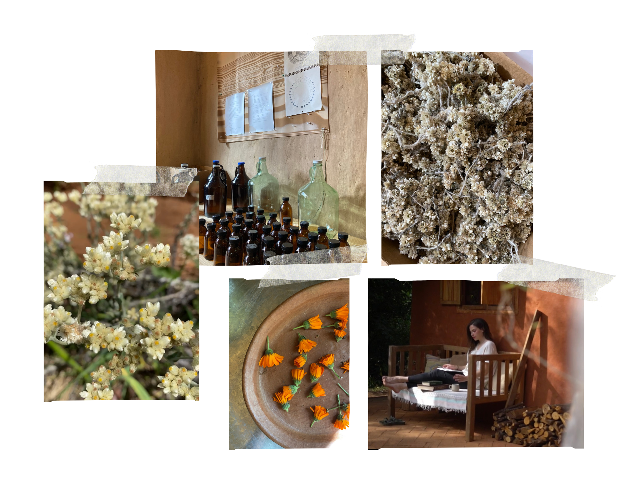 ¡Muuchoo por contarte!