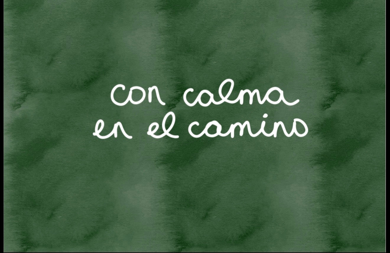 Postales - Alcachofa y Romero