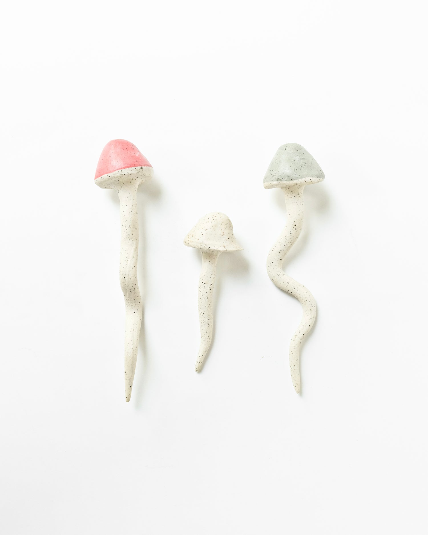 Set de hongos - Blau Verde