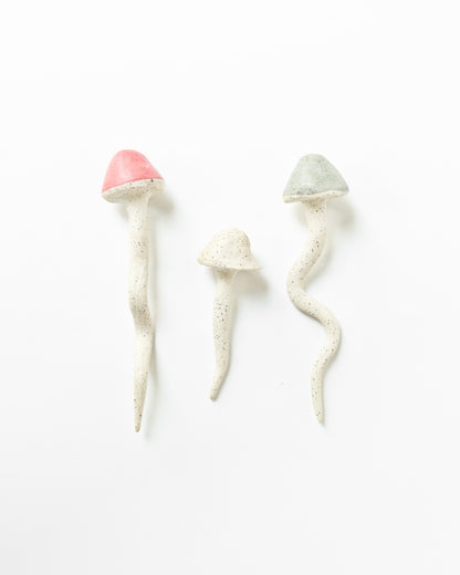 Set de hongos - Blau Verde