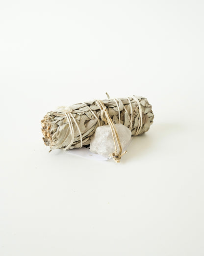 Mini Salvia Bundle - Alhumo