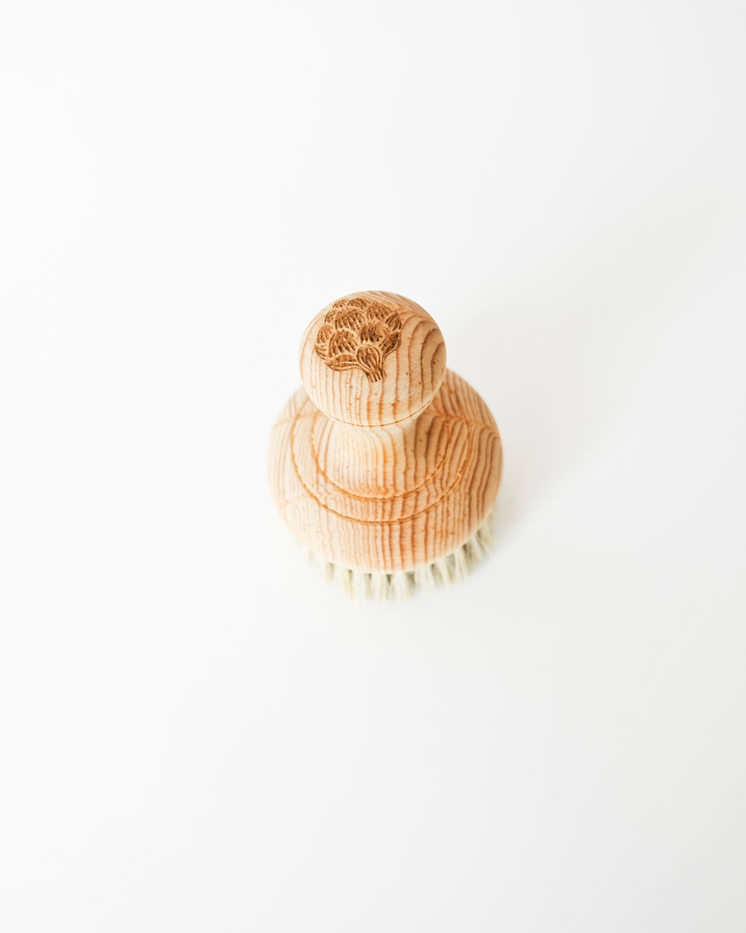 Cepillo Multiusos - Alcachofffa