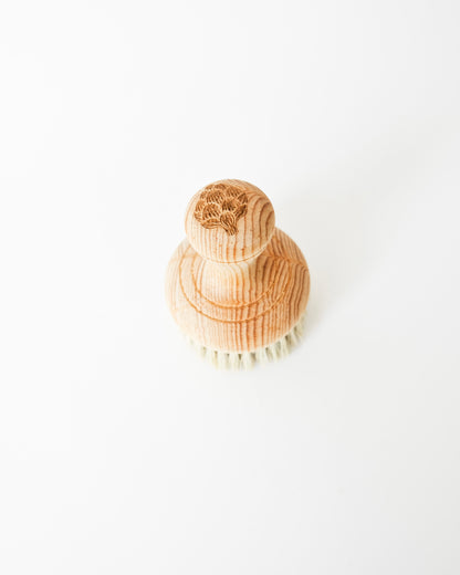 Cepillo Multiusos - Alcachofffa