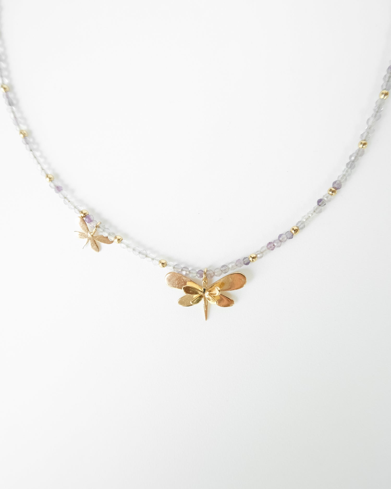 Dragonfly Choquer - Cecelia