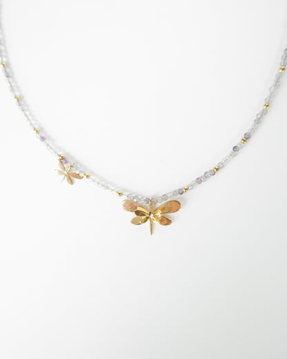 Dragonfly Choquer - Cecelia