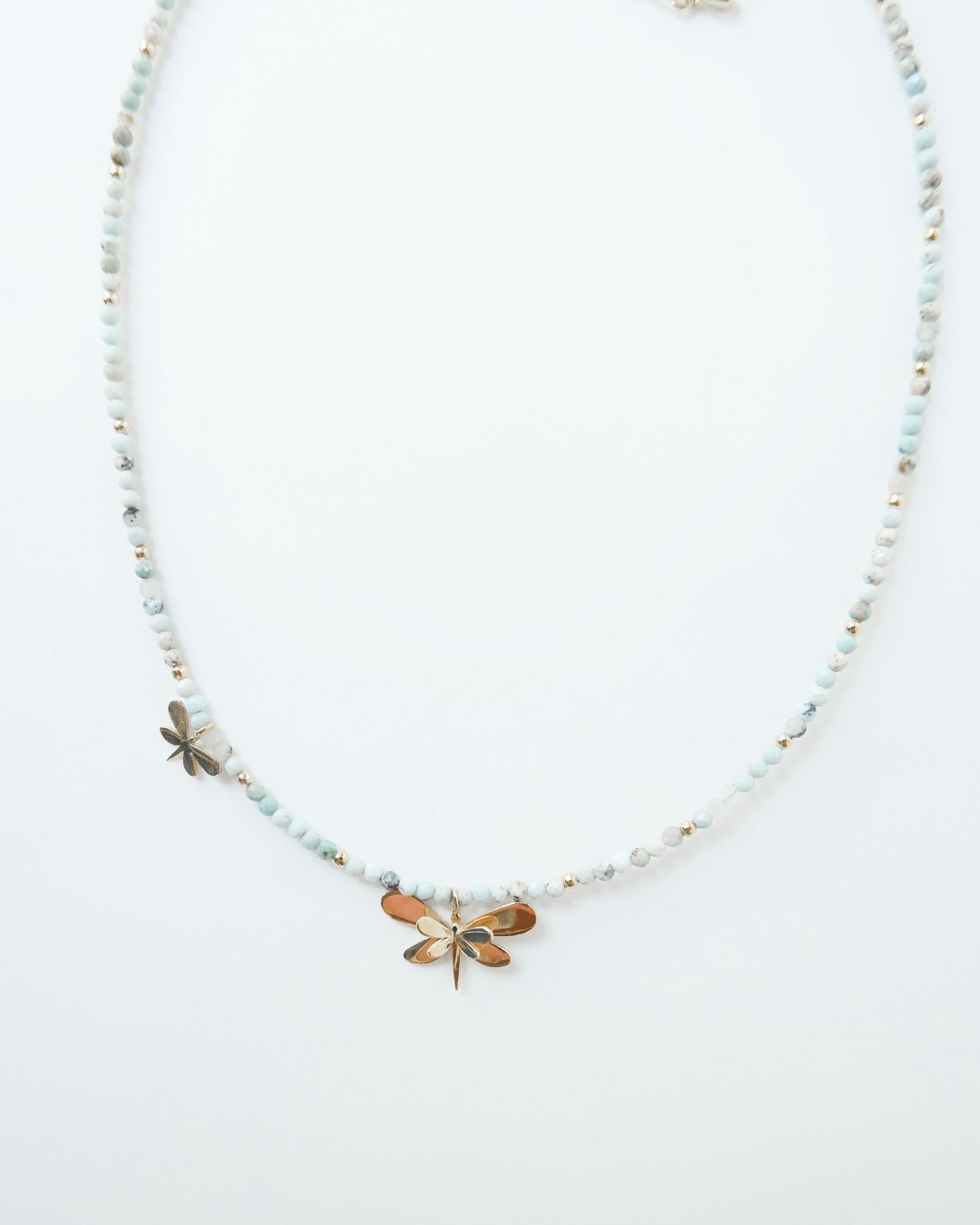 Choquer libélula - Cecelia