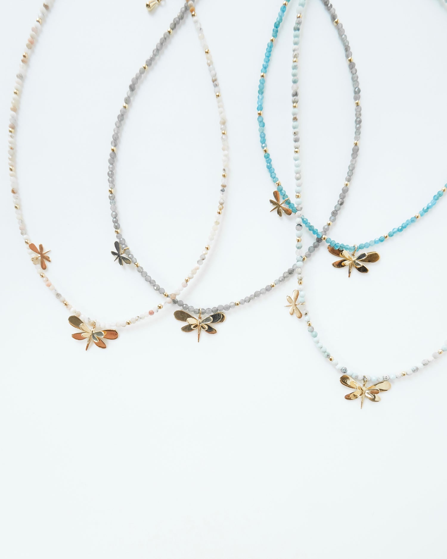 Choquer libélula - Cecelia