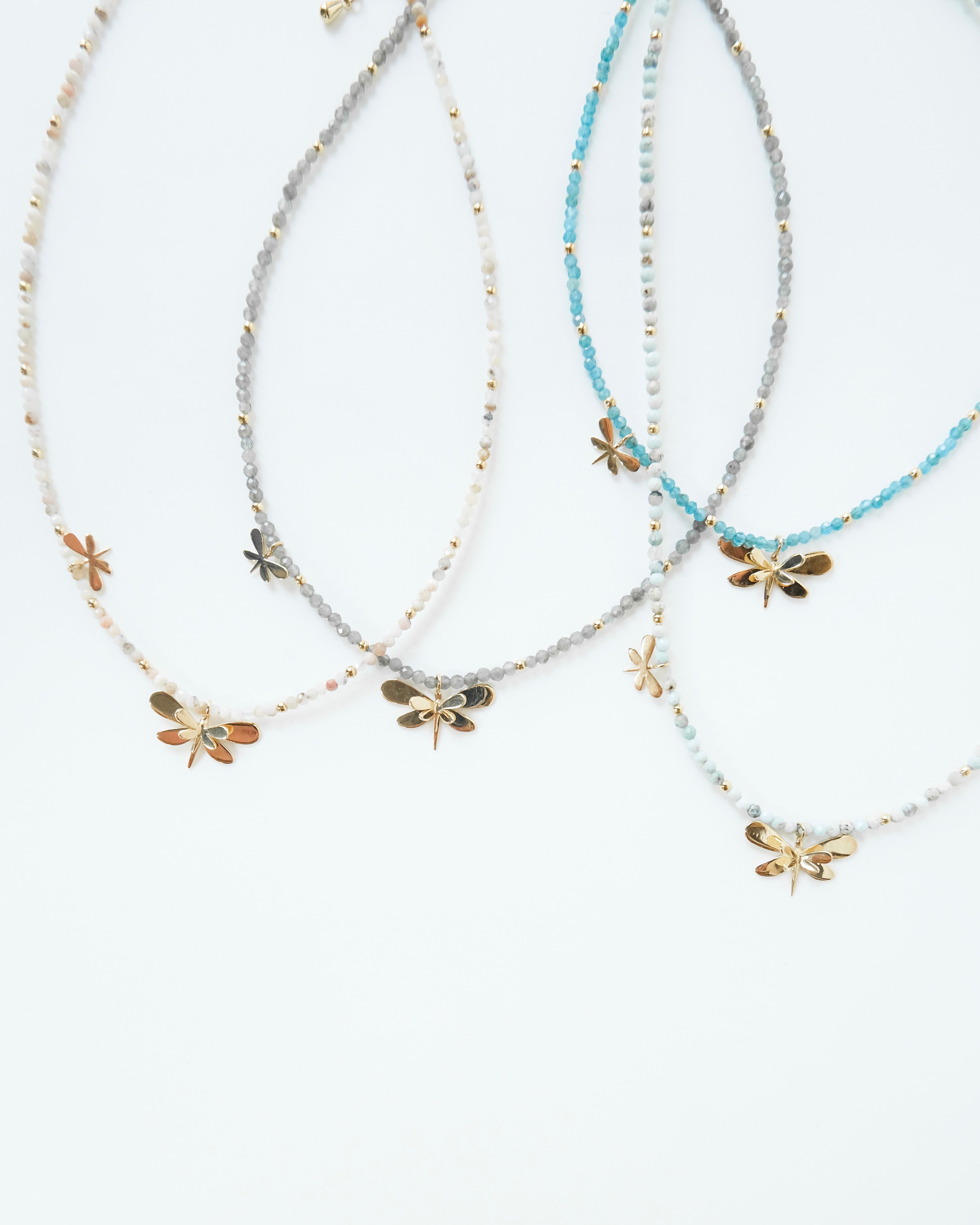 Choquer libélula - Cecelia