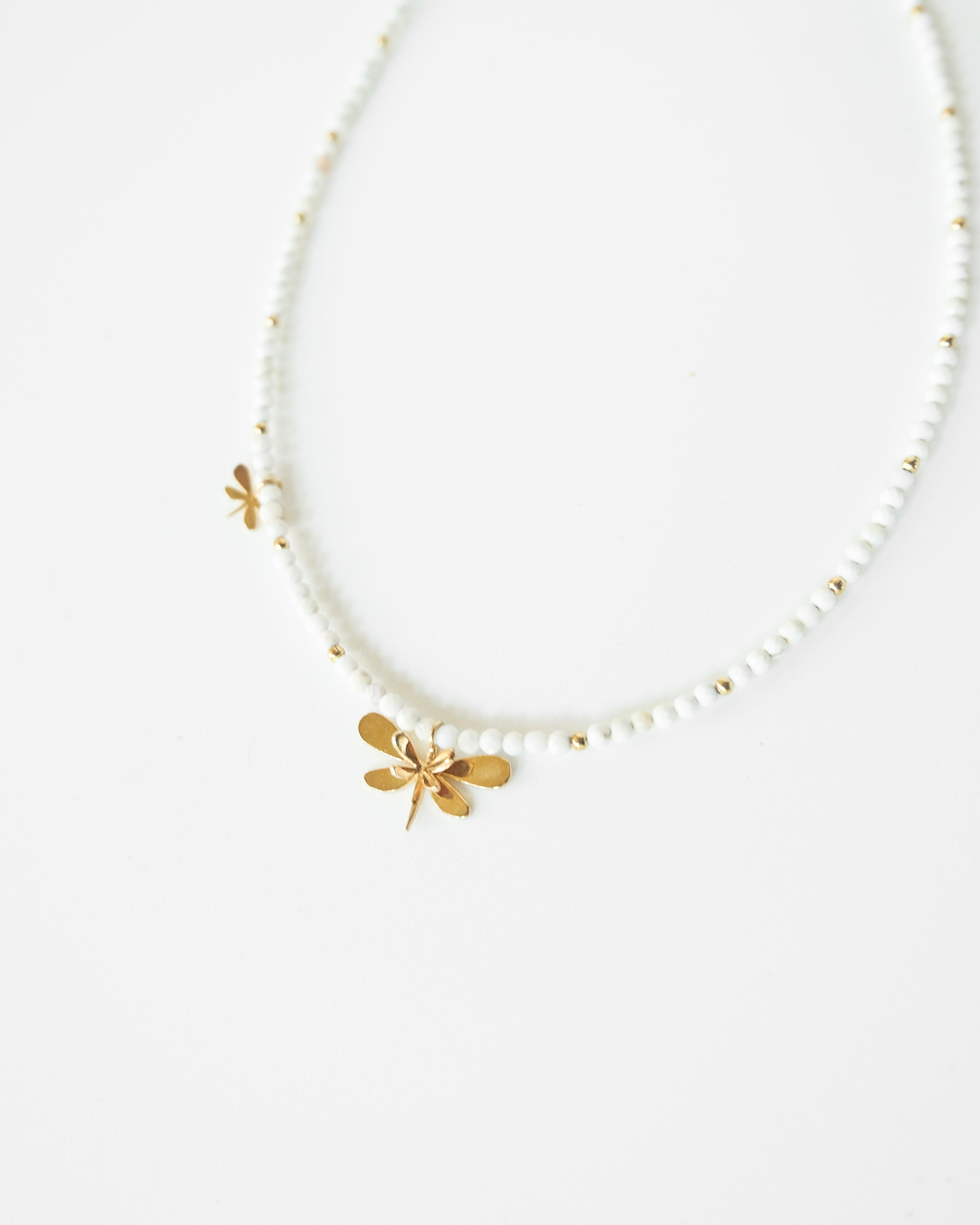 Dragonfly Choquer - Cecelia