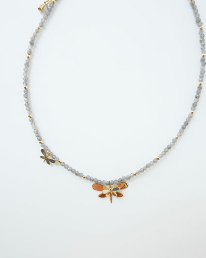 Choquer libélula - Cecelia