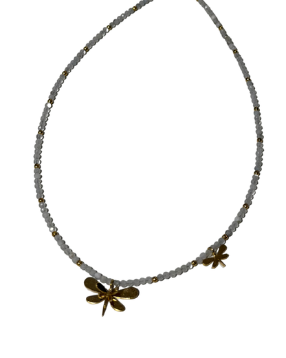 Dragonfly Choquer - Cecelia