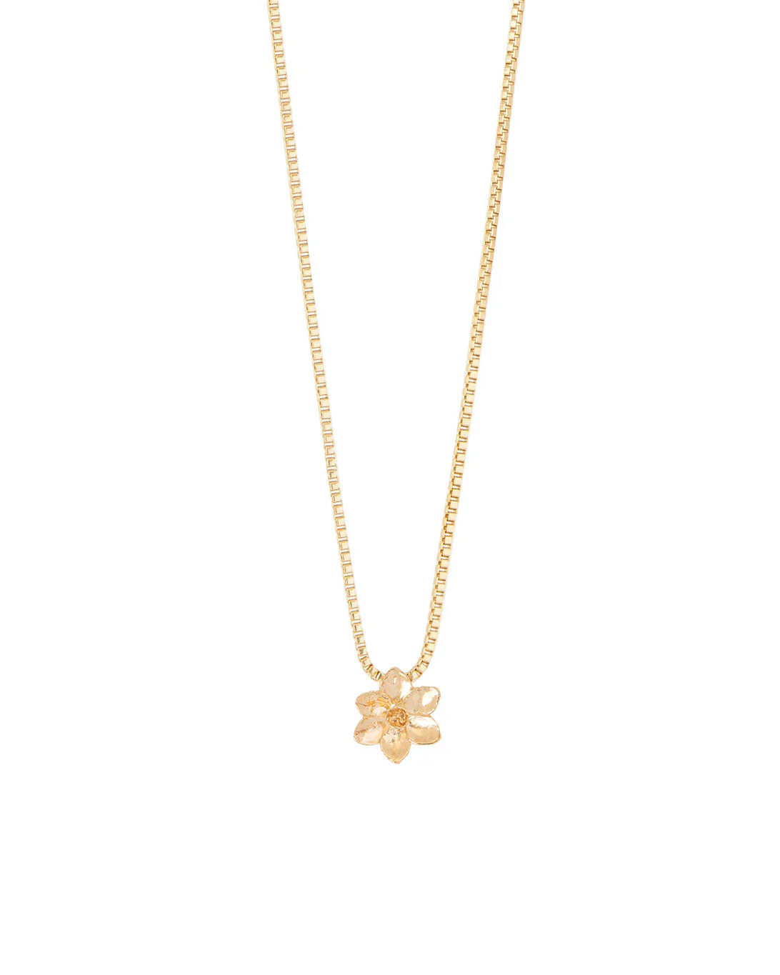 Collar entre flor - Cecelia