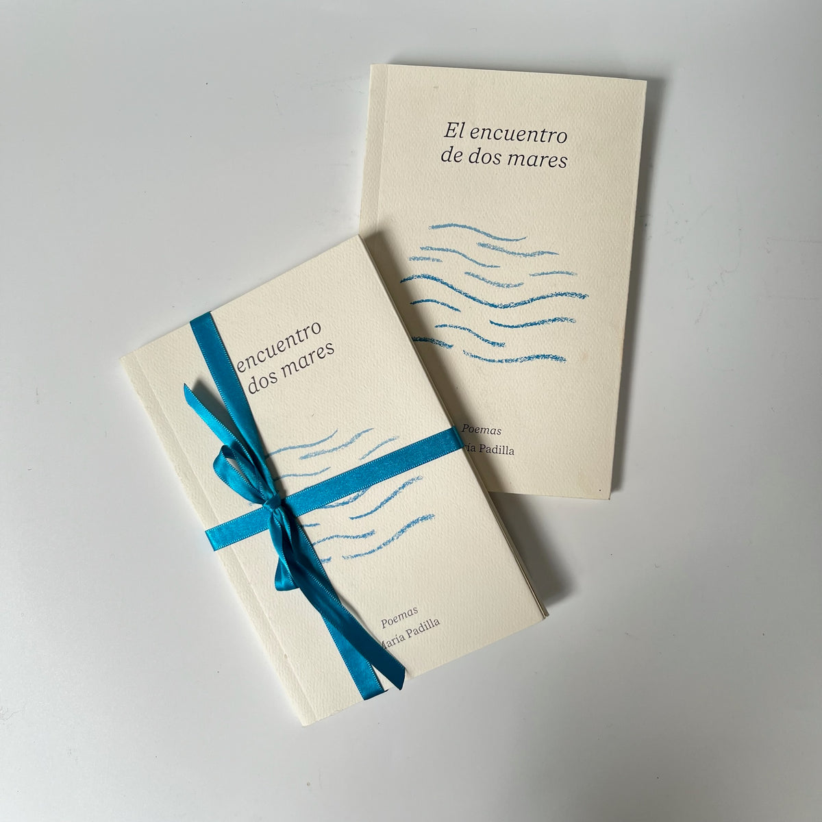 Book The Meeting of Two Seas - María Padilla