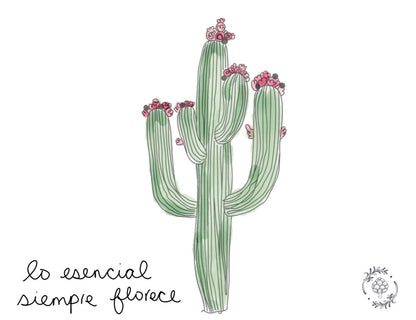 Postales - Alcachofa y Romero