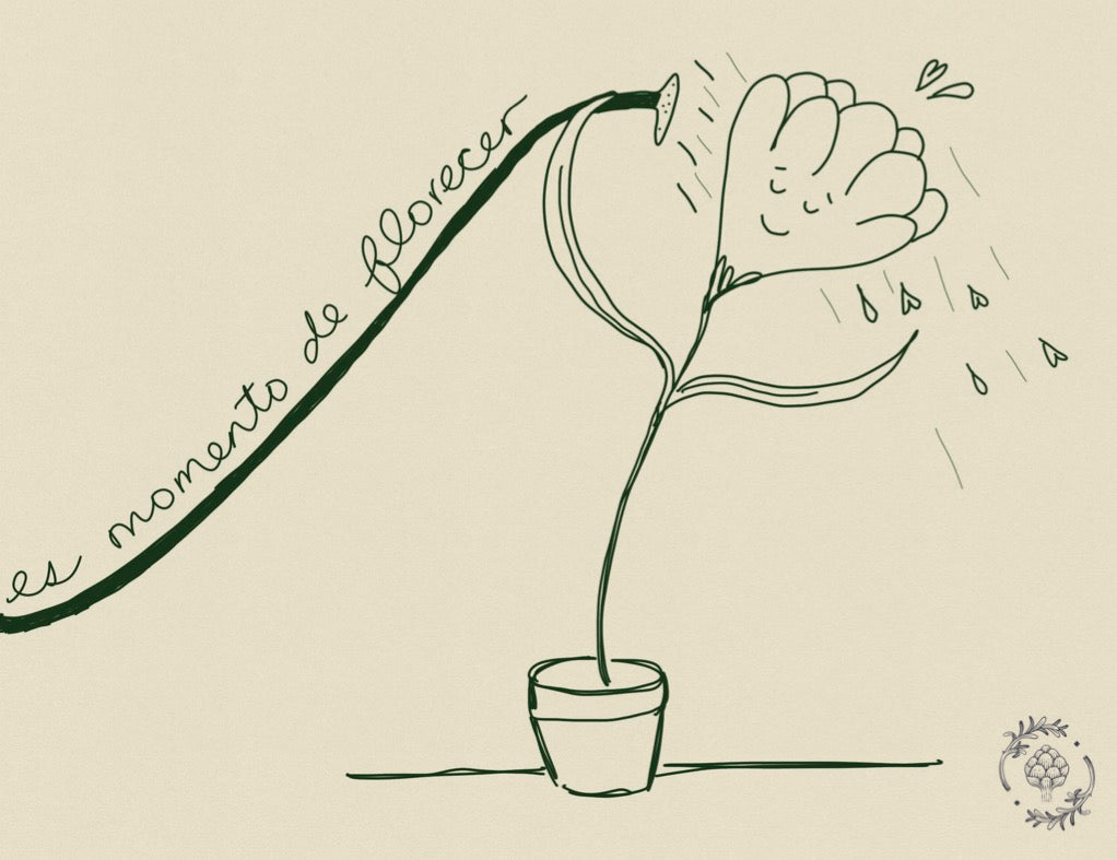 Postales - Alcachofa y Romero