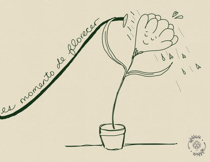 Postales - Alcachofa y Romero