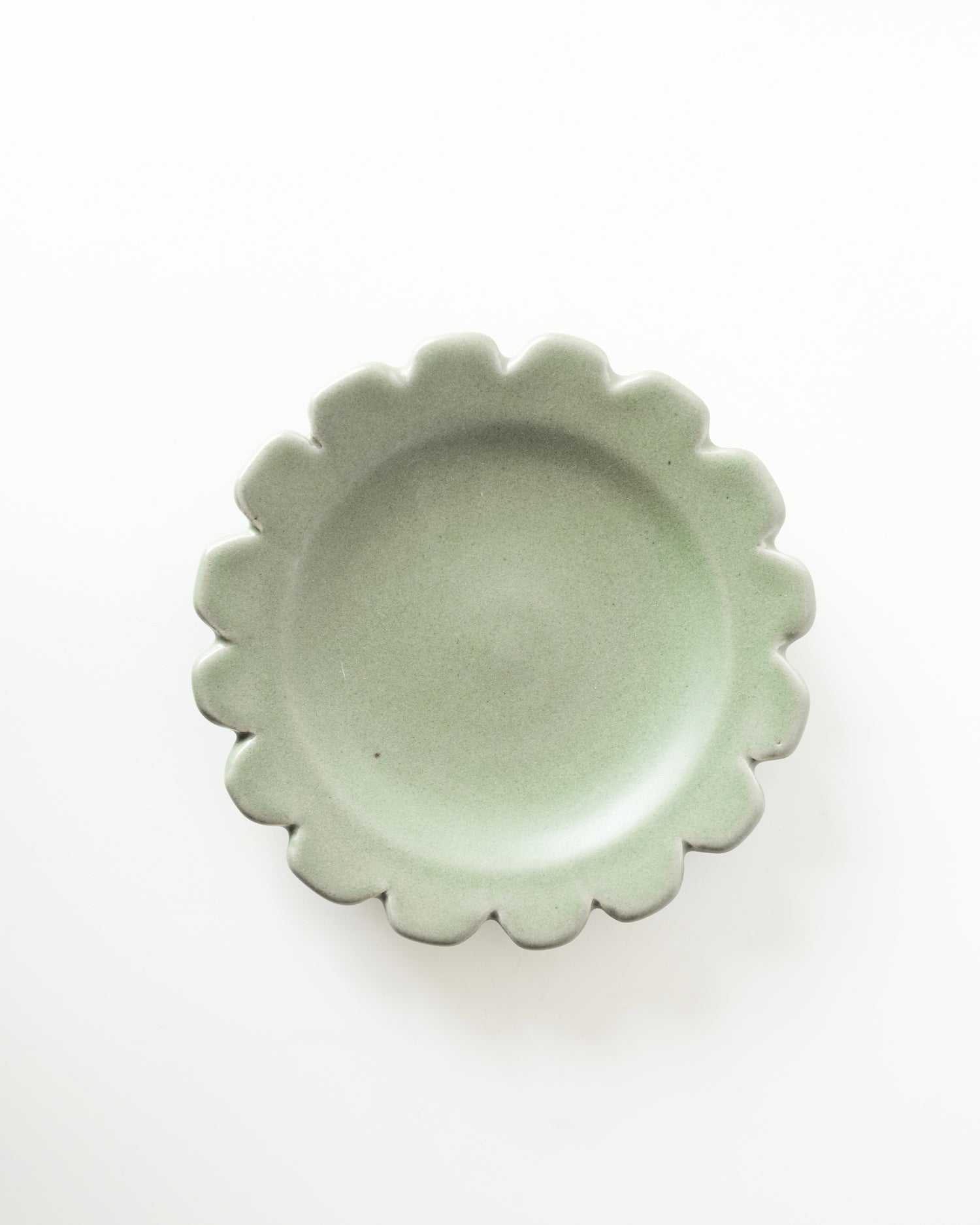 Plato entremés medio círculo - Alcachofa y Romero