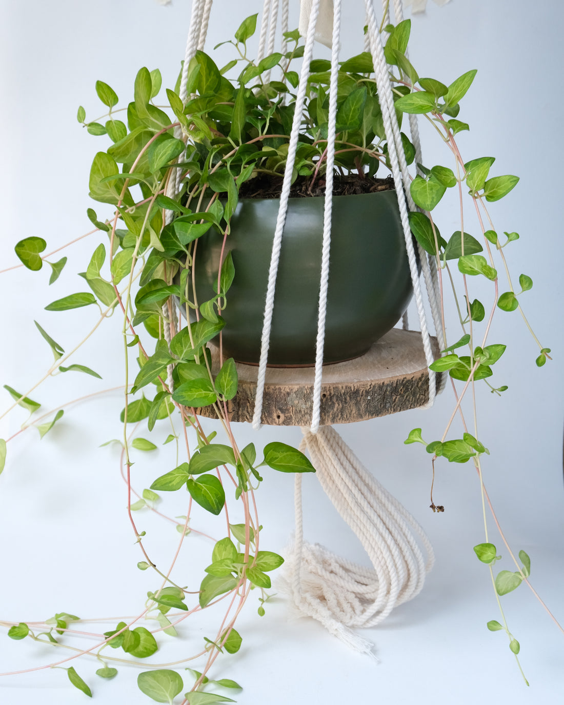 Trunk Pot Holder - Bohemian Knot