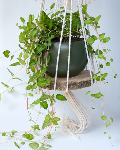 Trunk Pot Holder - Bohemian Knot