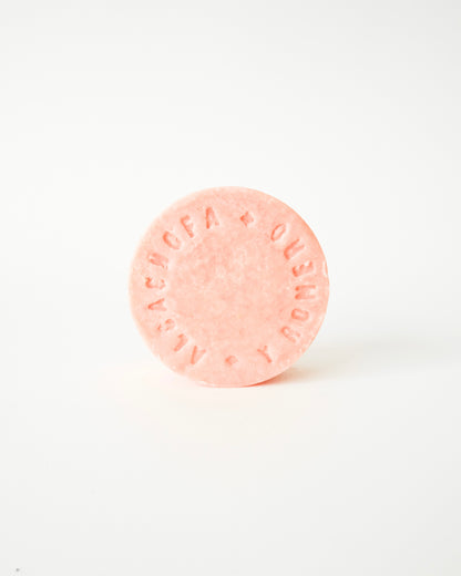 Solid Shampoos - Artichoke and Rosemary