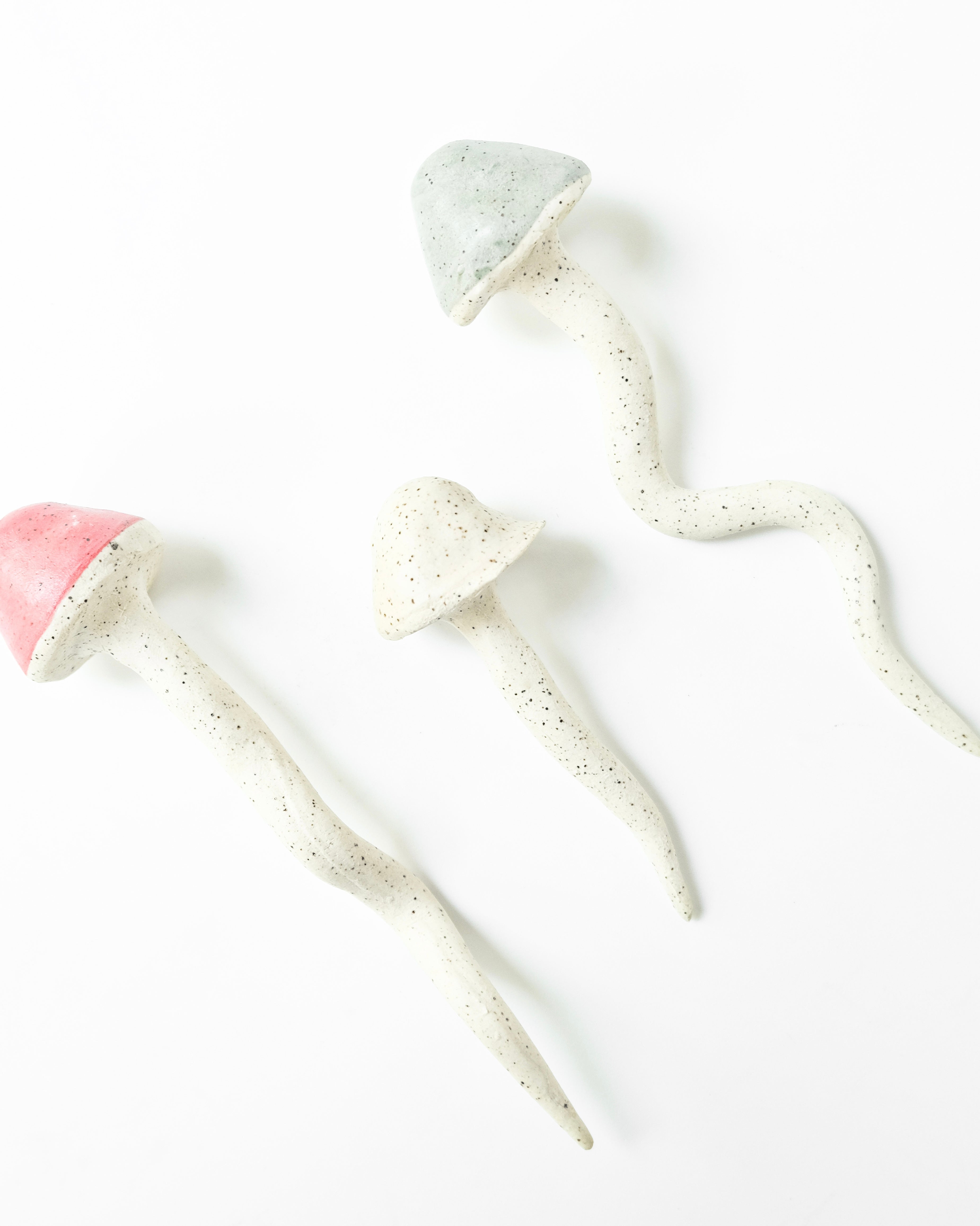 Set de hongos - Blau Verde